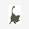 660 – «Топлю котят - недорого» - последнее сообщение от Sulico